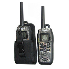 CRP06